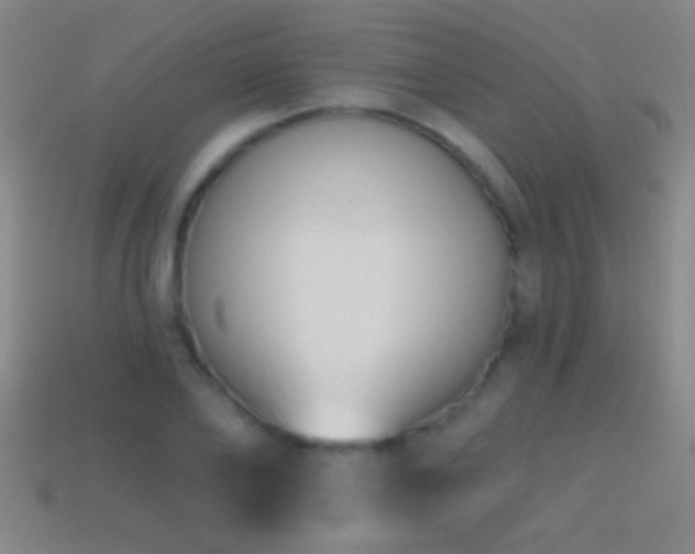 X0000114690886200910211310