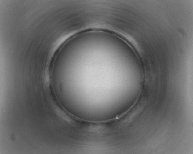 X0000114690887200910211310