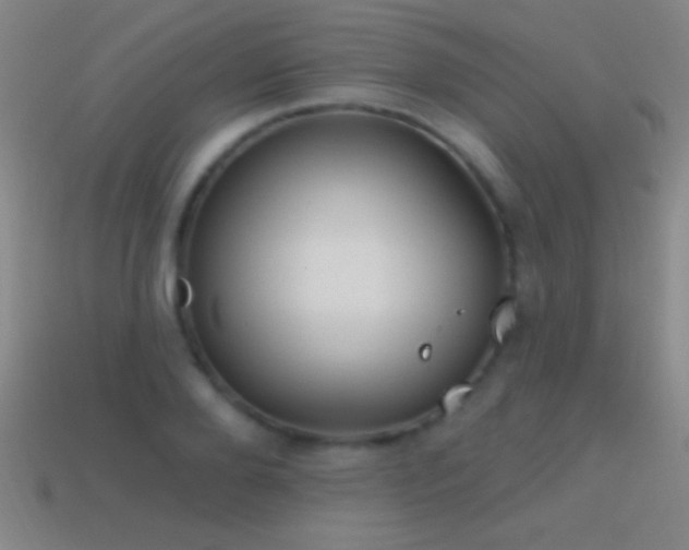 X0000114690888200910211310