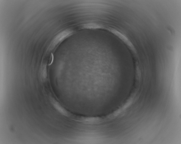 X0000114690889200910211310