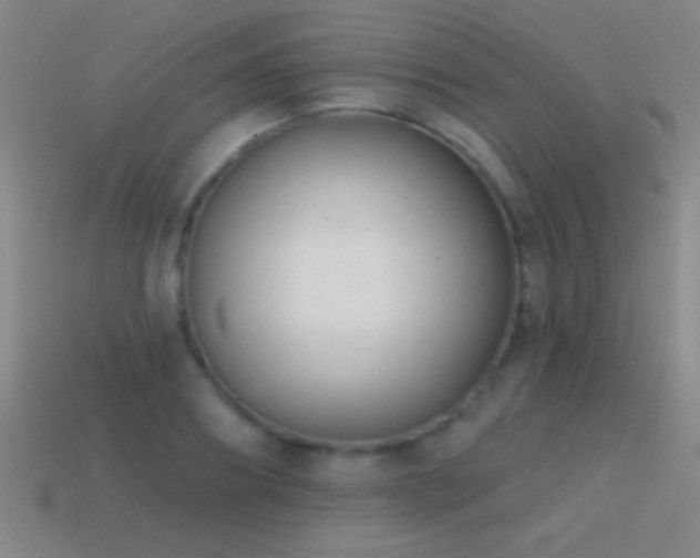 X0000114690890200910211310