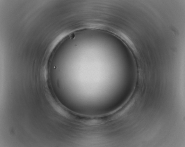 X0000114690891200910211310
