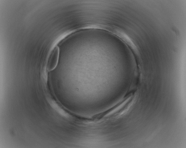 X0000114690892200910211310