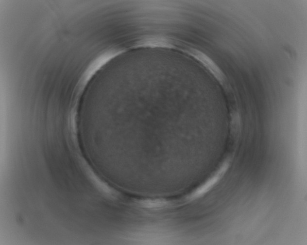 X0000114690893200910211310