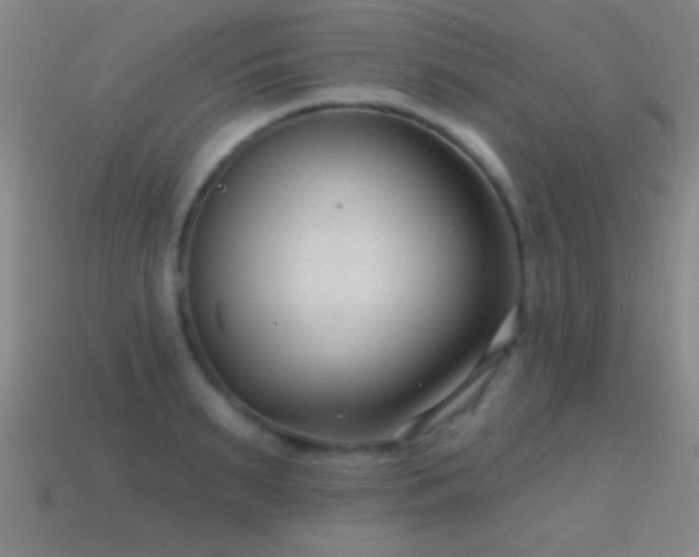 X0000114690895200910211310