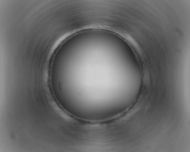X0000114690896200910211310