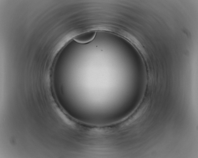 X0000114690898200910211310