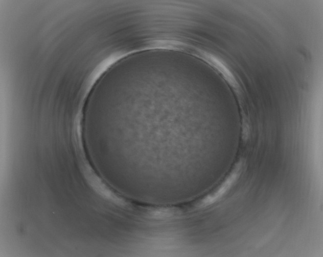 X0000114690899200910211310