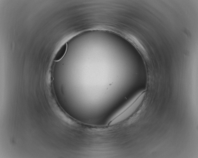 X0000114690900200910211310