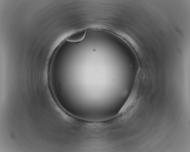 X0000114690902200910211310