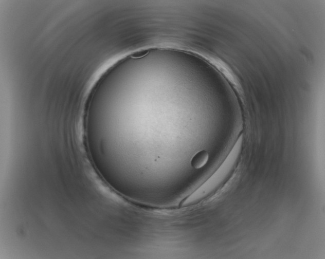 X0000114690904200910211310
