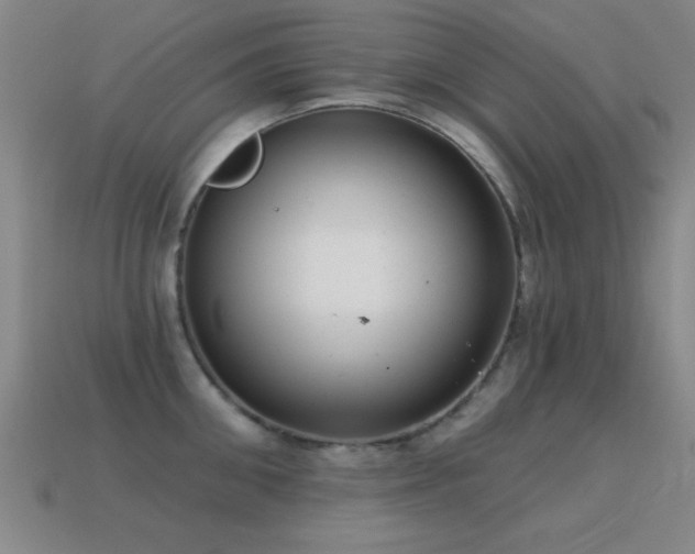 X0000114690906200910211310