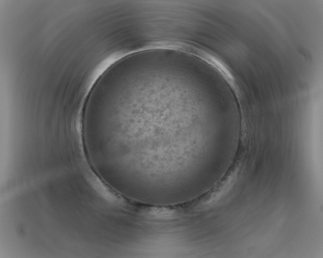 X0000114690907200910211310