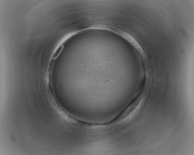 X0000114690908200910211310