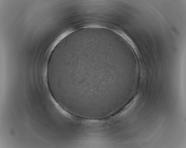 X0000114690909200910211310