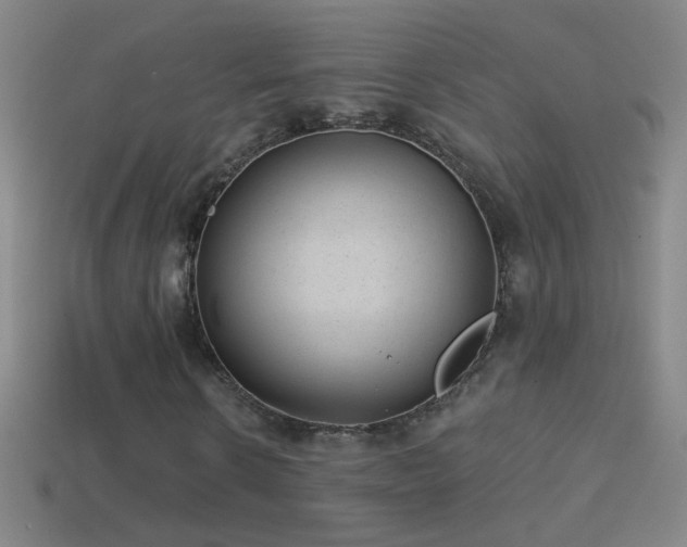 X0000114690914200910211309
