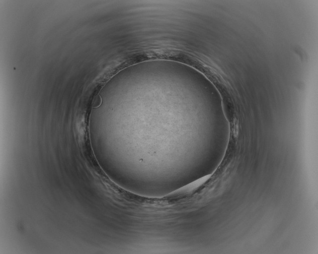 X0000114690915200910211309