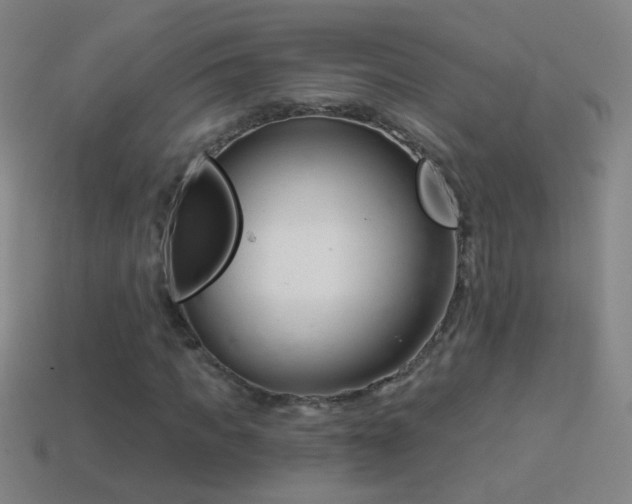 X0000114690917200910211309