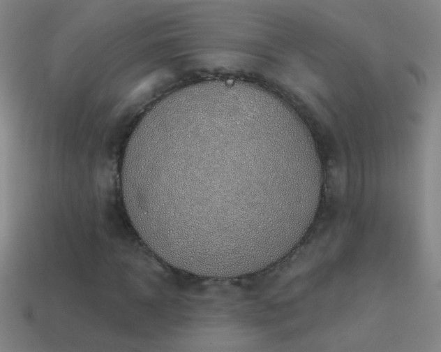 X0000114690918200910211309