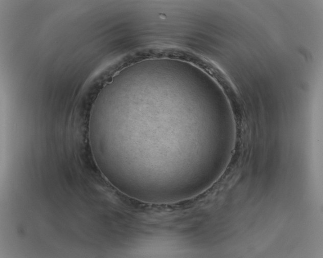 X0000114690919200910211309