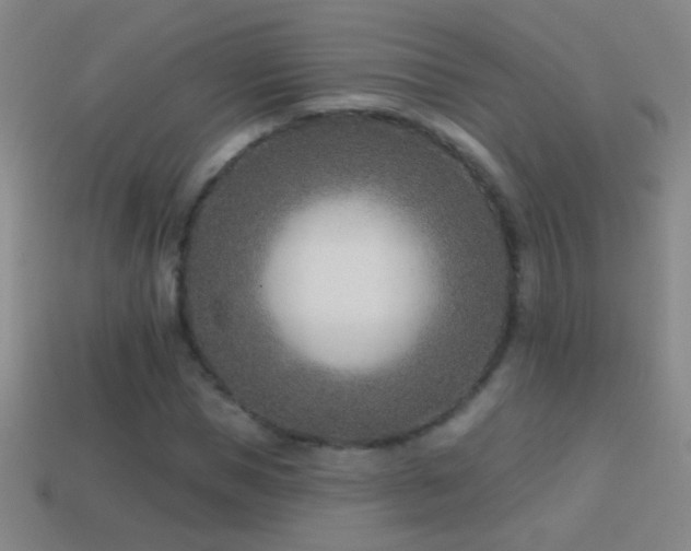 X0000114690921200910211309