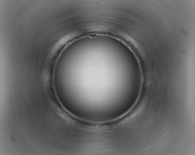 X0000114690922200910211309