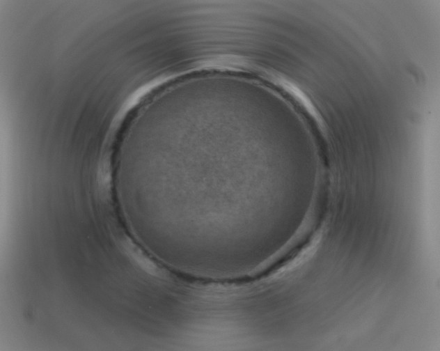 X0000114690923200910211309
