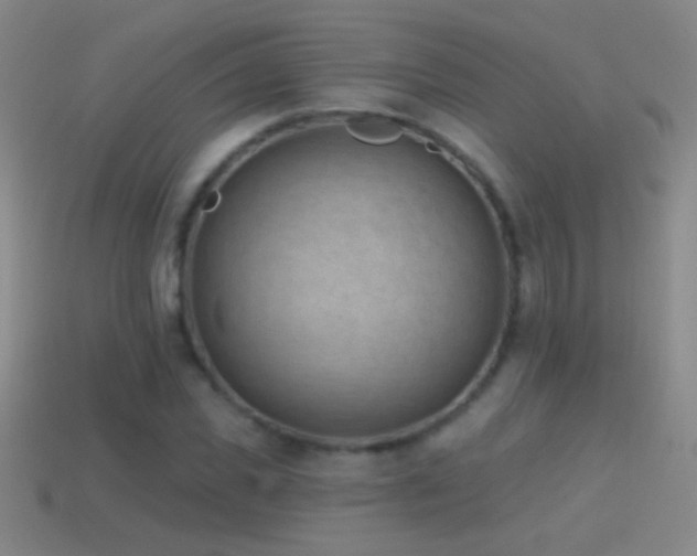 X0000114690925200910211309