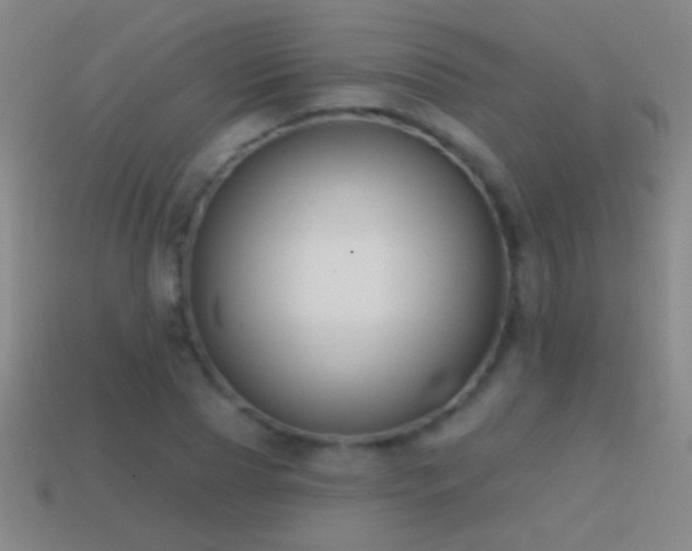 X0000114690929200910211309