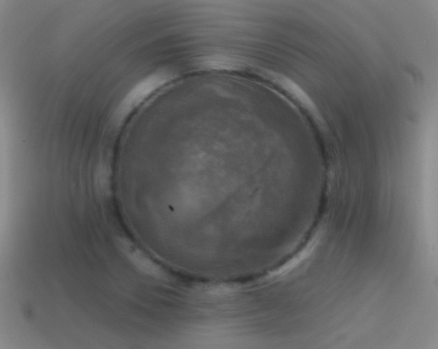 X0000114690930200910211309