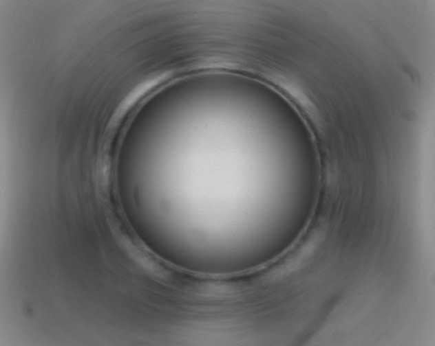X0000114690933200910211309