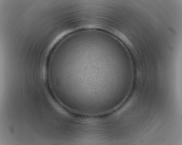 X0000114690934200910211309