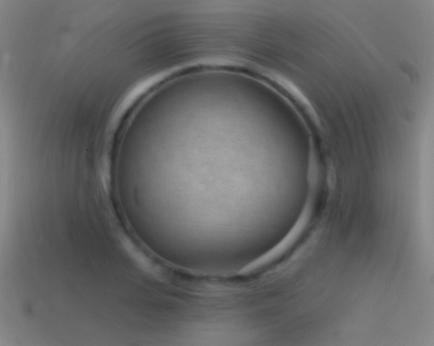 X0000114690935200910211309