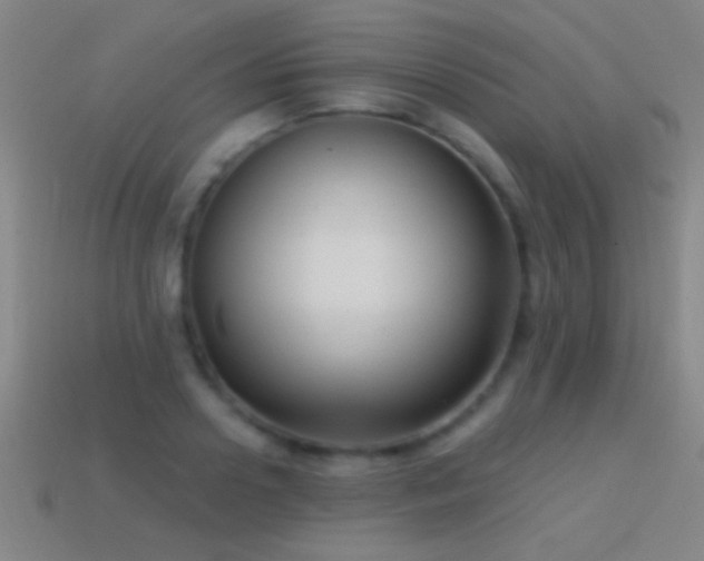 X0000114690938200910211309