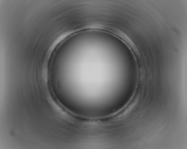 X0000114690939200910211309