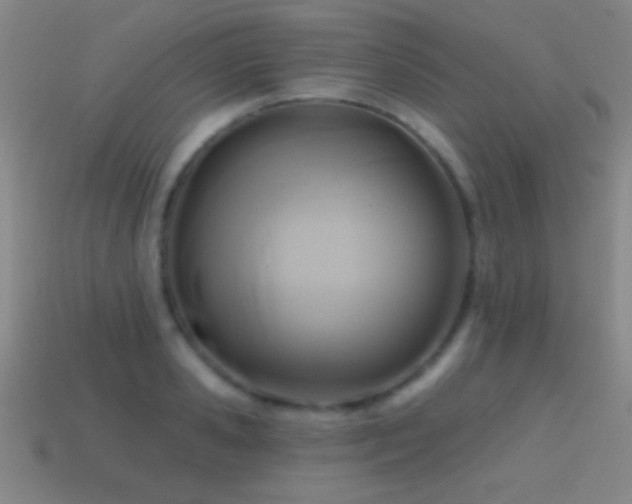 X0000114690941200910211309
