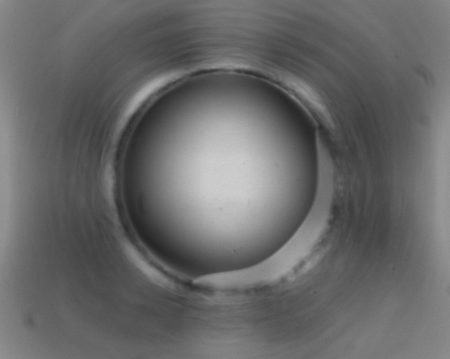 X0000114690942200910211309