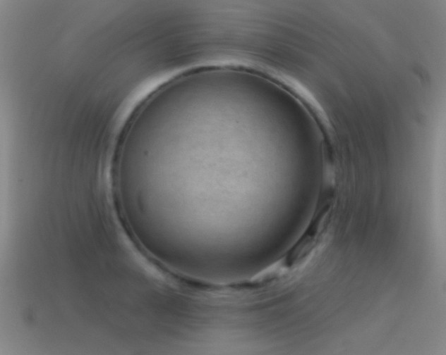 X0000114690943200910211310