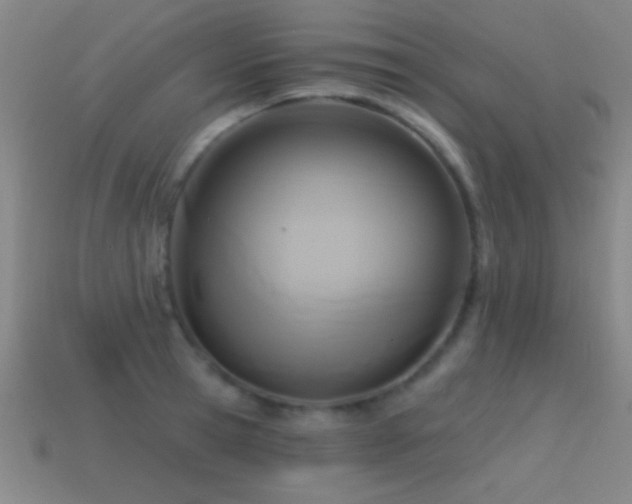X0000114690945200910211310