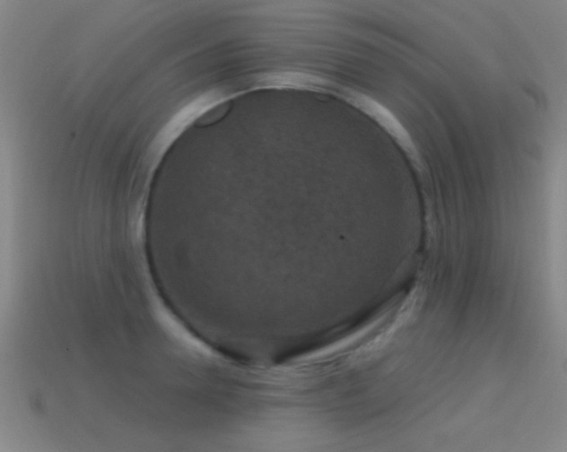 X0000114690946200910211310