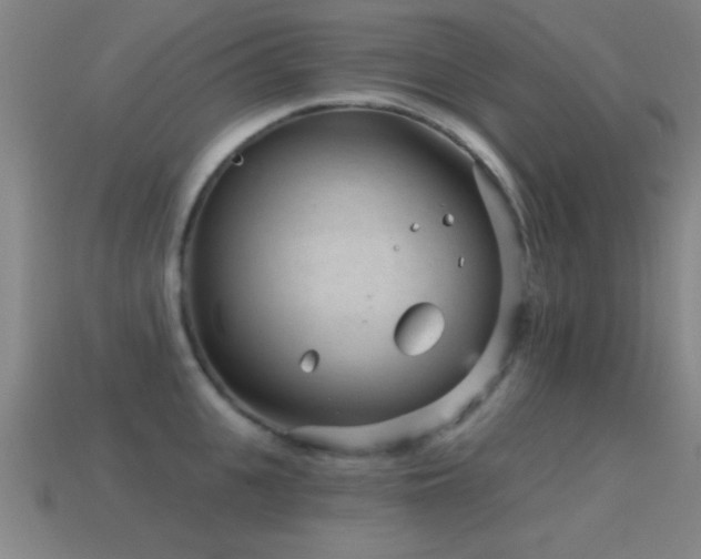 X0000114690951200910211310
