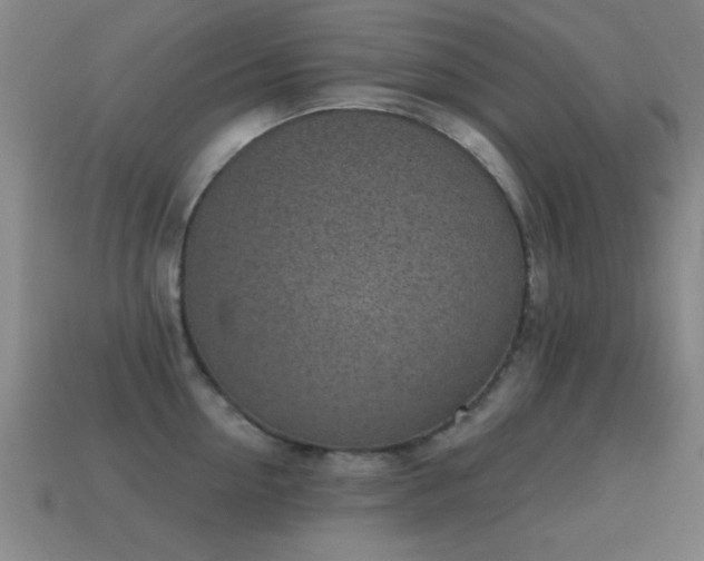 X0000114690954200910211310