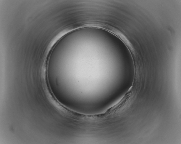 X0000114690955200910211310