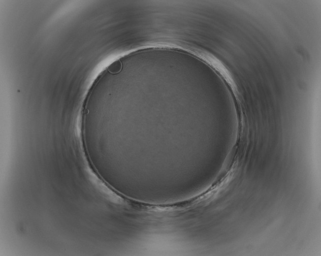 X0000114690958200910211310