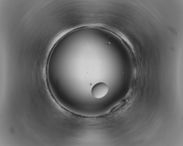 X0000114690959200910211310
