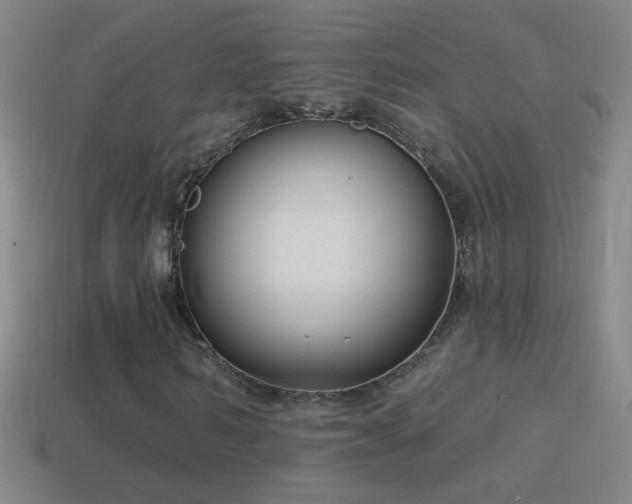 X0000114690962200910211309