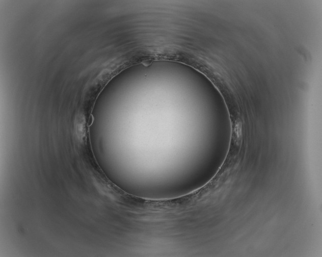 X0000114690963200910211309