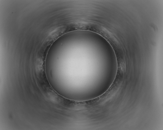 X0000114690964200910211309