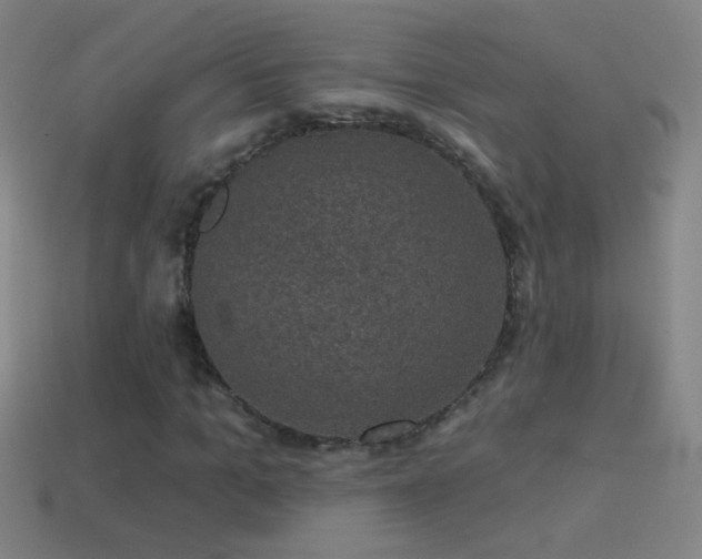 X0000114690965200910211309