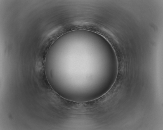 X0000114690966200910211309